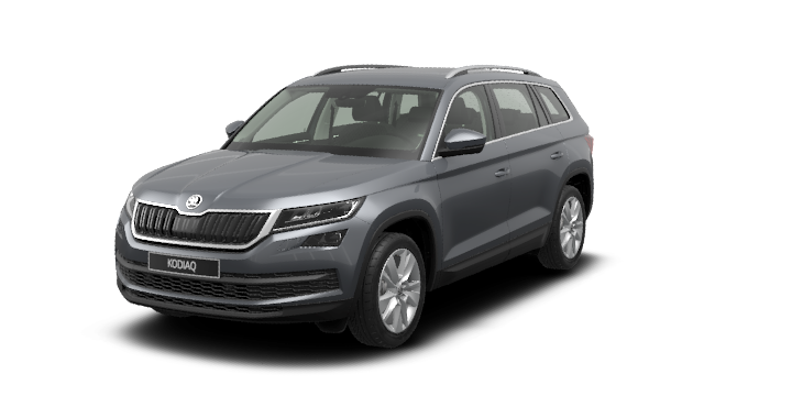 Изображение Серый Kodiaq Style номер 1